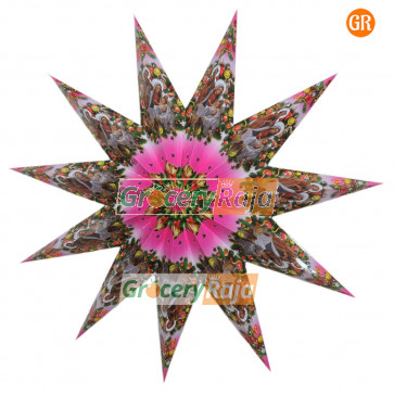 Christmas Star Plastic - 11 Pointed Star