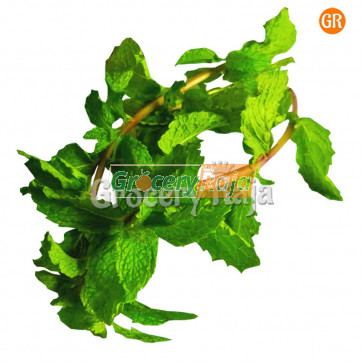 Mint Leaves Puthina (புதினா) 250 gms