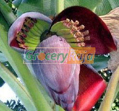 Plantain Flower (வாழைப்பூ) 1 pc