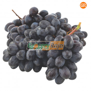 Purple Grapes Seedless (ஊதா திராட்சைப்பழம்) 500 gms