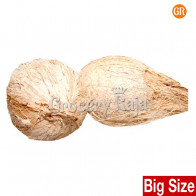Coconut Big Thengai (தேங்காய்) 2 pc