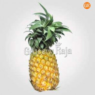 Pineapple 1 pc (அன்னாசிப்பழம்) (approx 1 Kg to 1.5 Kg)